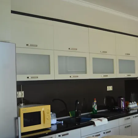 Ada's Гирокастра