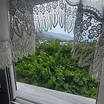 Ada's *